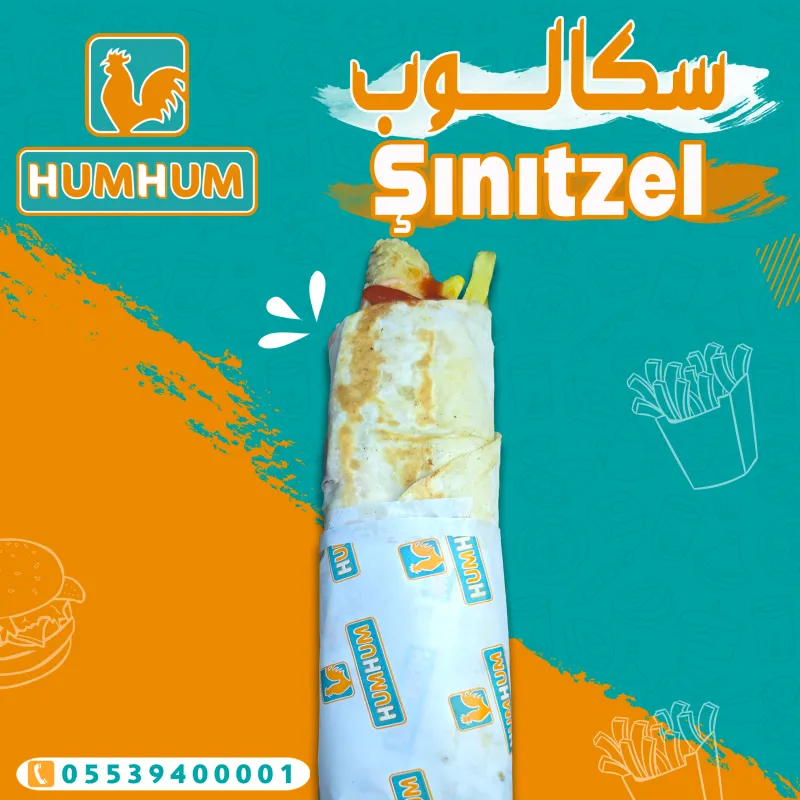 سكالوب