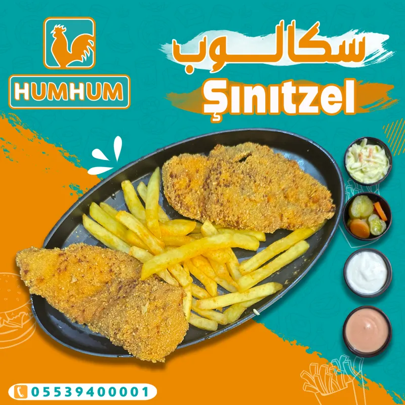 سكالوب