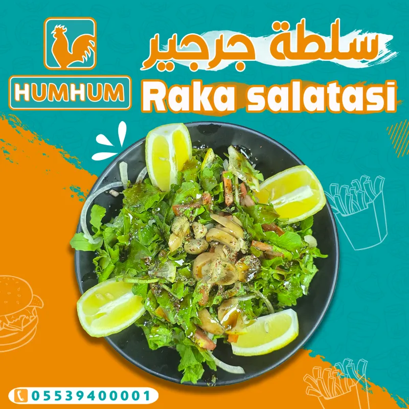 سلطة جرجير